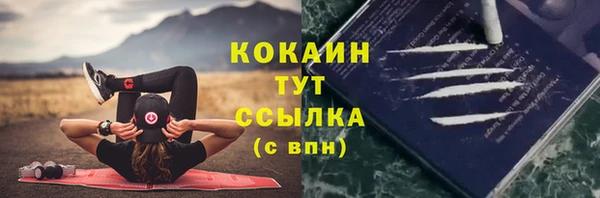 mix Ленск