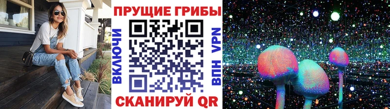Галлюциногенные грибы мухоморы  мориарти какой сайт  Ростов  купить наркотик 